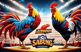 Promo Sabung Ayam Terbaru